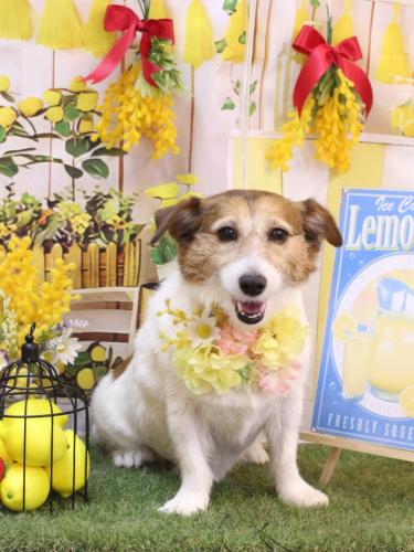 20240430こはるちゃん